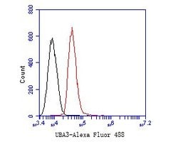 Invitrogen UBA3 Monoclonal Antibody (1C10-5-5) 100 &mu;L; Unconjugated:Antibodies,