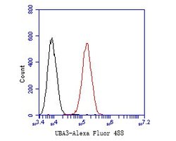 Invitrogen UBA3 Monoclonal Antibody (1B5-2-3) 100 &mu;L; Unconjugated:Antibodies,