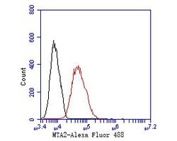 Invitrogen MTA2 Monoclonal Antibody (17A2) 100 &mu;L | Buy Online | Invitrogen&trade; | Fisher Scientific