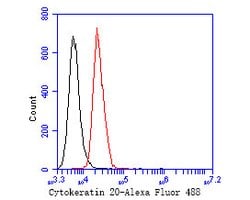 Invitrogen Cytokeratin 20 Monoclonal Antibody (A3D12) 100 &mu;L; Unconjugated:Antibodies,