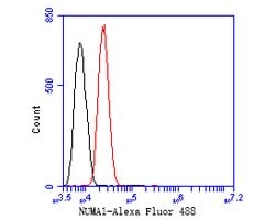 Invitrogen NuMA Monoclonal Antibody (A3A2) 100 &mu;L; Unconjugated:Antibodies,
