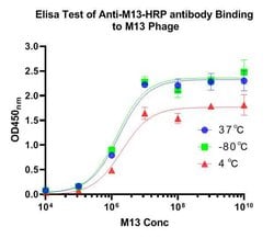 Invitrogen M13 phage coat protein Monoclonal Antibody (A4C11), HRP 100