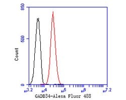 Invitrogen GADD34 Monoclonal Antibody (A4D7) 100 &mu;L; Unconjugated:Antibodies,