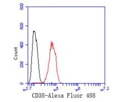 Invitrogen CD38 Recombinant Rabbit Monoclonal Antibody (JE29-35) 100 &mu;L;