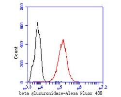 Invitrogen beta glucuronidase Recombinant Rabbit Monoclonal Antibody (JE54-34) 100 &mu;L | Buy Online | Invitrogen&trade; | Fisher Scientific