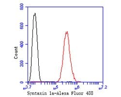 Invitrogen Syntaxin 1 Recombinant Rabbit Monoclonal Antibody (JE54-37)