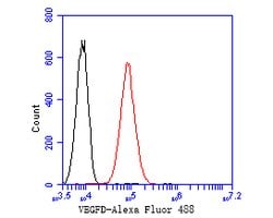 Invitrogen VEGFD Recombinant Rabbit Monoclonal Antibody (JE54-75) 100 &mu;L;