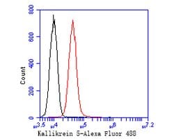 Invitrogen Kallikrein 5 Recombinant Rabbit Monoclonal Antibody (JE54-94)