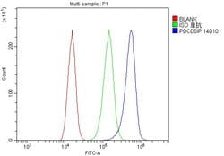Invitrogen PDCD6IP Monoclonal Antibody (14D10) 100 &mu;g; Unconjugated:Antibodies,