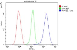 Invitrogen HMG4 Monoclonal Antibody (7G13) 100 &mu;g; Unconjugated:Antibodies,
