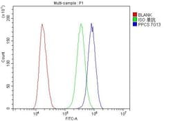 Invitrogen PPCS Monoclonal Antibody (7G13) 100 &mu;g; Unconjugated:Antibodies,