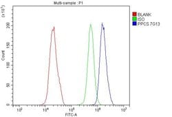 Invitrogen PPCS Monoclonal Antibody (7G13) 100 &mu;g; Unconjugated:Antibodies,