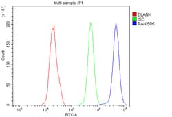 Invitrogen Ran Monoclonal Antibody (5D5) 100 &mu;g; Unconjugated:Antibodies,