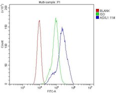 ASXL1 Monoclonal Antibody (11I4), Invitrogen 100 &mu;g; Unconjugated:Antibodies,