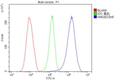Invitrogen HMG4 Monoclonal Antibody (8H9) 100 &mu;g; Unconjugated:Antibodies,