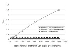 Invitrogen SARS-CoV-2 Spike Protein S1 Monoclonal Antibody (GT263) 100