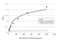 Invitrogen SARS-CoV-2 Spike Protein S1 Monoclonal Antibody (GT263) 100