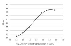 Invitrogen beta Amyloid (1-42) Monoclonal Antibody (GT622) 100 &mu;L; Unconjugated:Antibodies,