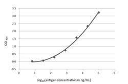 Invitrogen beta Amyloid (1-42) Monoclonal Antibody (GT622) 100 &mu;L; Unconjugated:Antibodies,