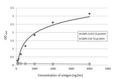 Invitrogen SARS-CoV-2 Spike Protein S1 Recombinant Rabbit Monoclonal Antibody (HL134) 100 &mu;L | Buy Online | Invitrogen&trade; | Fisher Scientific