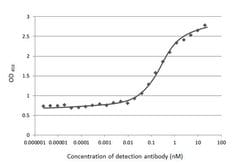 Invitrogen SARS-CoV-2 Spike Protein S1 Recombinant Rabbit Monoclonal Antibody (HL134) 100 &mu;L | Buy Online | Invitrogen&trade; | Fisher Scientific