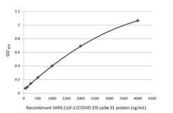 Invitrogen SARS-CoV-2 Spike Protein S1 Recombinant Rabbit Monoclonal Antibody (HL263) 100 &mu;L | Buy Online | Invitrogen&trade; | Fisher Scientific