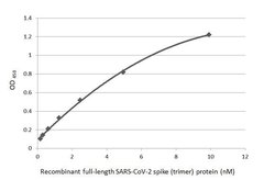 Invitrogen SARS-CoV-2 Spike Protein S1 Recombinant Rabbit Monoclonal Antibody (HL263) 100 &mu;L | Buy Online | Invitrogen&trade; | Fisher Scientific