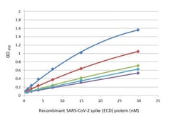Invitrogen SARS-CoV-2 Spike Protein S1 Recombinant Rabbit Monoclonal Antibody (HL263) 100 &mu;L | Buy Online | Invitrogen&trade; | Fisher Scientific