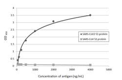 Invitrogen SARS-CoV-2 Spike Protein S1 Recombinant Rabbit Monoclonal Antibody (HL263) 100 &mu;L | Buy Online | Invitrogen&trade; | Fisher Scientific