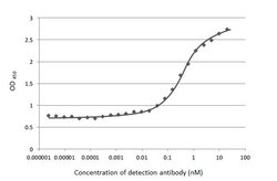 Invitrogen SARS-CoV-2 Spike Protein S1 Recombinant Rabbit Monoclonal Antibody (HL263) 100 &mu;L | Buy Online | Invitrogen&trade; | Fisher Scientific