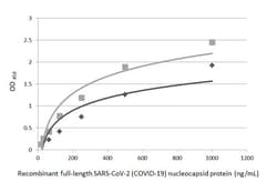 Invitrogen SARS-CoV-2 Nucleocapsid Recombinant Rabbit Monoclonal Antibody