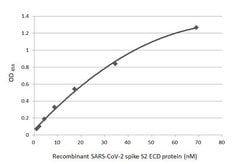 Invitrogen SARS-CoV-2 Spike Protein S2 Recombinant Rabbit Monoclonal Antibody
