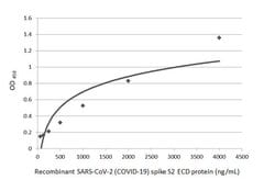 Invitrogen SARS-CoV-2 Spike Protein S2 Recombinant Rabbit Monoclonal Antibody