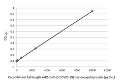 Invitrogen SARS-CoV-2 Nucleocapsid Recombinant Rabbit Monoclonal Antibody