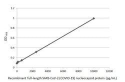 Invitrogen SARS-CoV-2 Nucleocapsid Recombinant Rabbit Monoclonal Antibody
