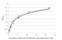 Invitrogen SARS-CoV-2 Nucleocapsid Recombinant Rabbit Monoclonal Antibody