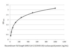 Invitrogen SARS-CoV-2 Nucleocapsid Recombinant Rabbit Monoclonal Antibody