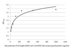 Invitrogen SARS-CoV-2 Nucleocapsid Recombinant Rabbit Monoclonal Antibody