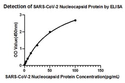 Invitrogen SARS-CoV-2 Nucleocapsid Recombinant Rabbit Monoclonal Antibody