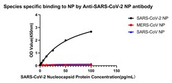 SARS-CoV-2 Nucleocapsid Recombinant Rabbit Monoclonal Antibody (4Z6T2),
