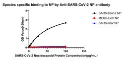 SARS-CoV-2 Nucleocapsid Recombinant Rabbit Monoclonal Antibody (4Z6T2),