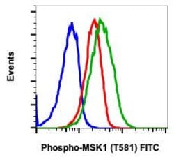 Invitrogen Phospho-MSK1 (Thr581) Recombinant Rabbit Monoclonal Antibody (MSK1T581-A5), FITC 10 Tests | Buy Online | Invitrogen&trade; | Fisher Scientific