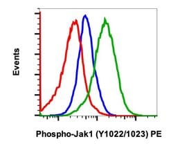 Invitrogen Phospho-Jak1 (Tyr1034, Tyr1035) Recombinant Rabbit Monoclonal