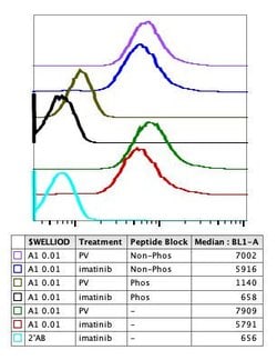 Invitrogen Phospho-NPM1 (Ser4) Recombinant Rabbit Monoclonal Antibody (NPMS4-A1)