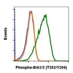 Invitrogen Phospho-ERK1/ERK2 (Thr202, Tyr204) Recombinant Rabbit Monoclonal