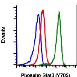 Invitrogen Phospho-Stat3 (Tyr705) Recombinant Rabbit Monoclonal Antibody