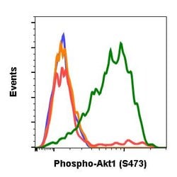 Phospho-Akt1 (Ser473) Recombinant Rabbit Monoclonal Antibody (AktS473-C7),