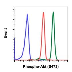 Phospho-Akt1 (Ser473) Recombinant Rabbit Monoclonal Antibody (AktS473-C7),