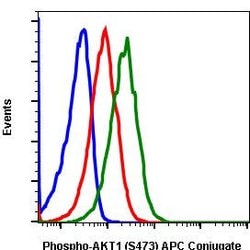 Invitrogen Phospho-Akt1 (Ser473) Recombinant Rabbit Monoclonal Antibody