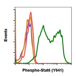 Invitrogen Phospho-Stat6 (Tyr641) Recombinant Rabbit Monoclonal Antibody